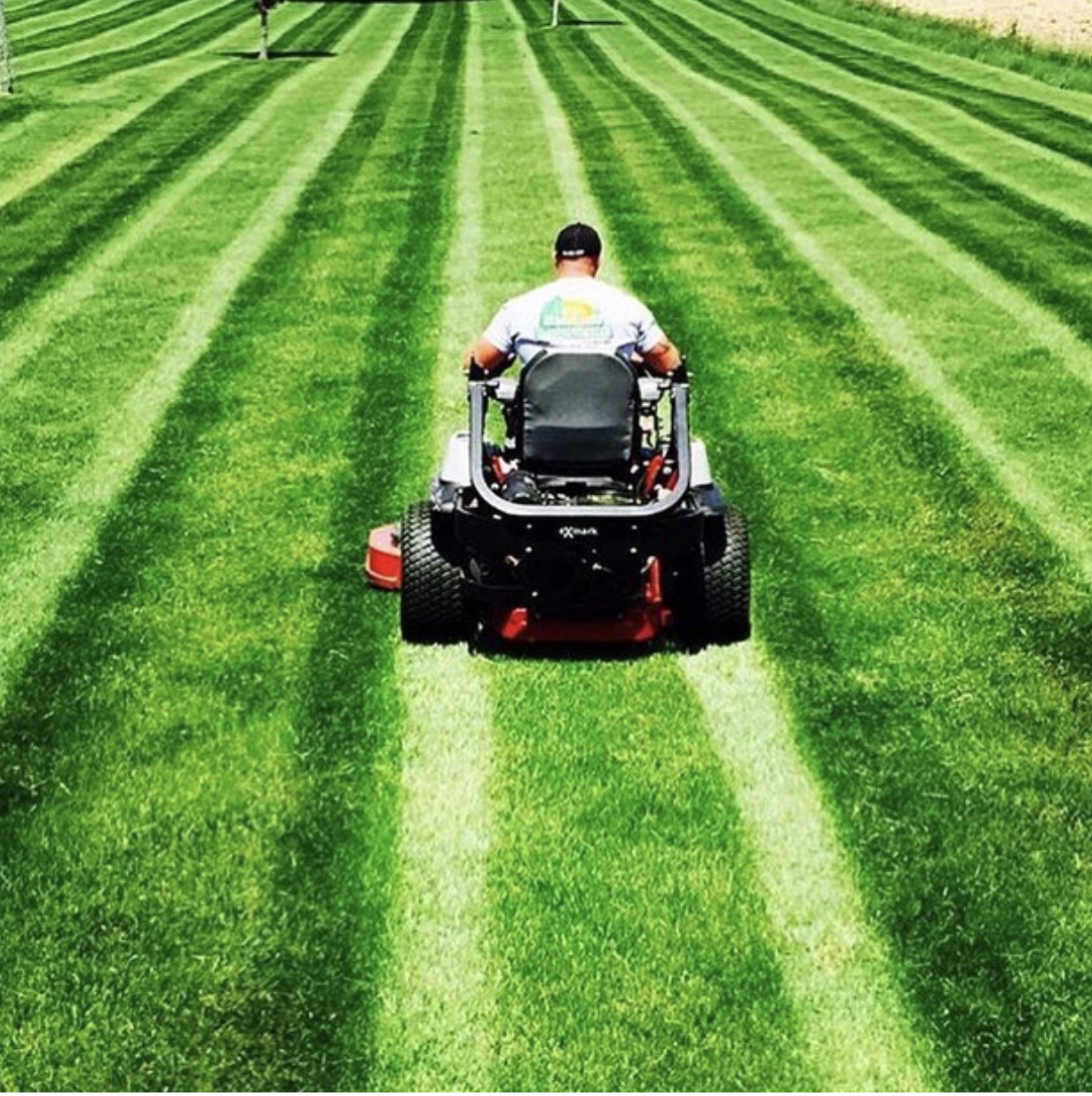 weekly-lawn-maintenance